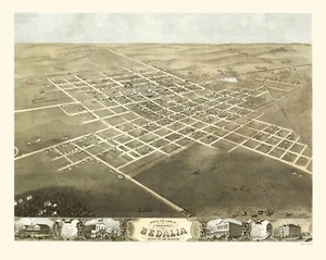 Vista panorámica histórica - Sedalia Missouri - Ruger 1869 - 23 x 28,80 - Imagen 1 de 20