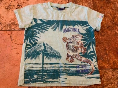 Рубашка Naartjie размер 5 для мальчиков Amazonia Lizard - Изображение 1 из 4