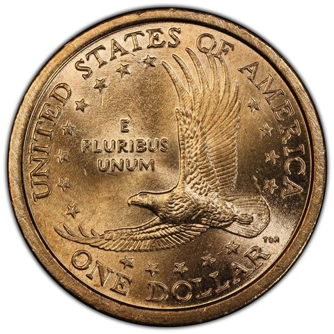 2000 P Sacagawea Dollar PCGS MS65 Wounded Eagle Error Variety FS-901 Speared Cover
