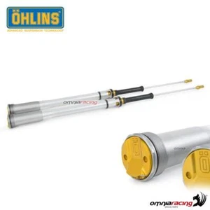 Ohlins TTX22 cartridge kit with springs for Yamaha YZ250F 2014-2019 - Picture 1 of 3