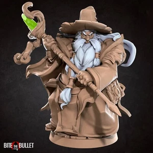 Human Male Wizard Warlock - Normal Hat - Bite the Bullet - Fantasy D&D Miniature - Picture 1 of 3