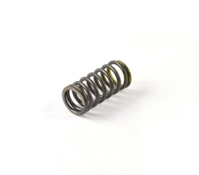 WSM Valve Spring For Sea-Doo GTR P X 230 1503 2018 Inner 010-031 - Image 1 of 3