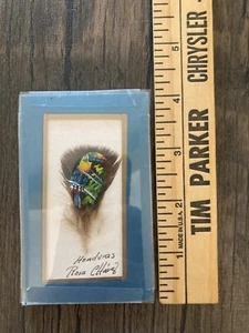 Vintage Miniature Painted Feather Honduras Bird Toucan Signed - Picture 1 of 3