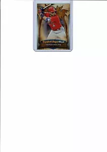 2019 Topps Baseball Yadier Molina Grapefruit League Greats GLG-30 - Imagen 1 de 2