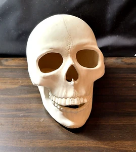 Calavera bisque hecha a mano lista para pintar cerámica 9,5 x 8 X 6,5 - Imagen 1 de 8