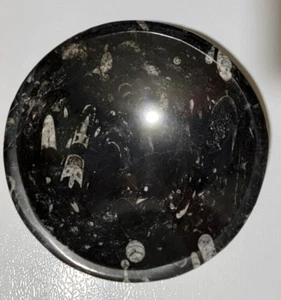 Polished 8 1/2" Dia. Marble Orthoceras Fossil Bowl - Picture 1 of 6