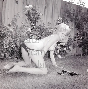 Negativo Vogel anni '60-sexy ragazza pinup bionda nuda Becky Russell-formaggio v307715 - Foto 1 di 1
