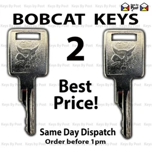 2 x BOBCAT KEYS Skid Steer E10 E17 E19 E20 Code D250 CASE 751 753 763 Master Key - Picture 1 of 3