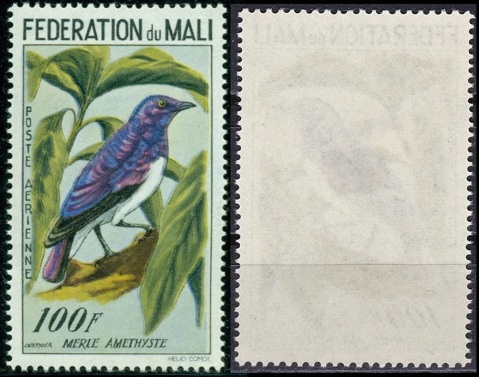 Mali Air Post 1960 100F Sc-C2 pájaro amatista estornino MNH - vendedor de EE. UU. Foto 1 de 1
