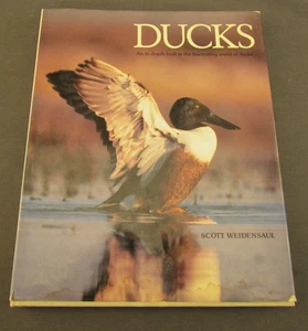 Enten, ein tiefer Blick in die faszinierende Welt der Enten von Scott Weidensaul - Bild 1 von 3