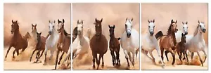 Decoración de arte de pared de lona panorámica para caballos - Juego de 3 piezas 24x24 (total 24x72 pulgadas) - Imagen 1 de 8