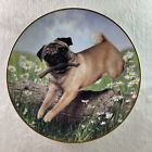 PUGS IN PLAY Plate Simon Mendez Pug Collection Danbury Mint Daisies Pug Fetching