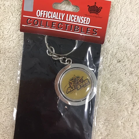 2007 NHL All Star Dallas Logo -  Flip Keychain- Perfect For Hockey Fans Cover