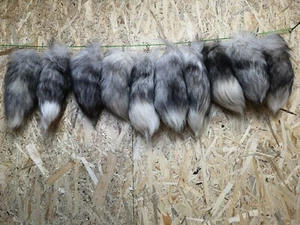 Top 10x Echte Silberfuchs Fuchsschwänze Fuchsschwanz zum Sonderpreis! - Bild 1 von 2