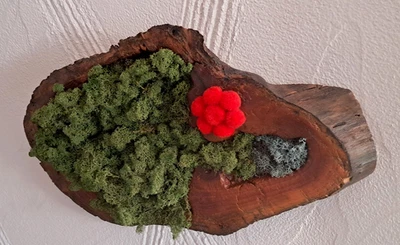 Moosbild mit Holz Rahmen Schwarzwald Wand Deko 3D Bild konserviertes Moos - Bild 1 von 3