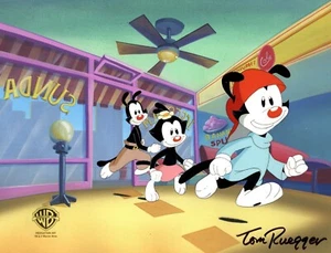 Animaniacs Key Master Setup Cel n OBG n Drawing Signed by Creator Soda Jerk 1996 - Picture 1 of 4