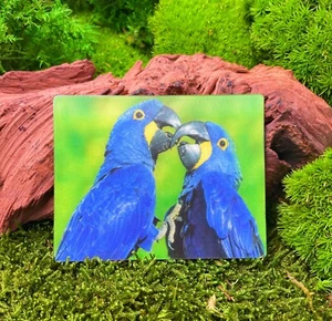 Hyazinth Ara Blauara Papagei Vogel 9x7cm 3D Kühlschrankmagnet Magnet Karte Bild - Picture 1 of 2