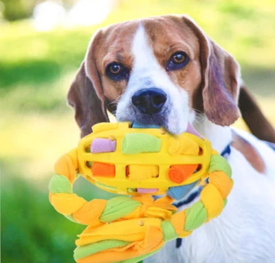 New Interactive Snuffle Dog Treat Dispenser Engaging Foraging Toy Training Toy - Image 1 of 4