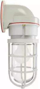 Larson Class 1, Div 2 Chemical Resistant Incandescent Light, 100 Watts,120 Volts - Picture 1 of 2