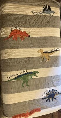 Pottery Barn Kids Warren Dinosaur Twin Quilt Standard Sham & Euro Sham - Image 1 of 4
