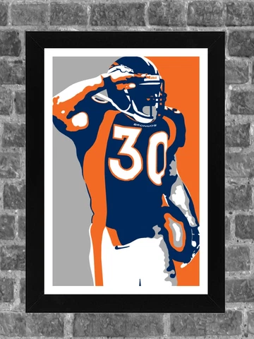Denver Broncos Terrell Davis Portrait Sports Print Art 11x17 Cover