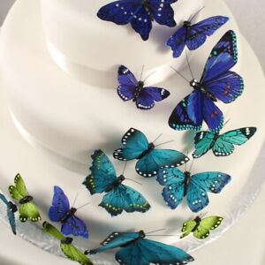 Weddingstar Beautiful Butterfly Painted Feather Cake Decoration Set - Asst Sz