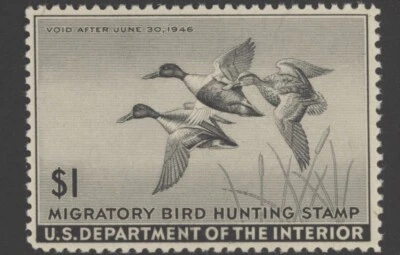 1945 US Scott #RW12 $1 Shoveller Ducks, Mint Hinged, Disturbed Gum - Image 1 of 2