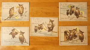 Antique Victorian Trade Card Marshalltown Iowa Set of 5 Owls - Picture 1 of 8
