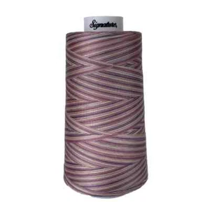 Signature Variegated 40 weight cotton thread 3000 yard cone- Victorian - Picture 1 of 1