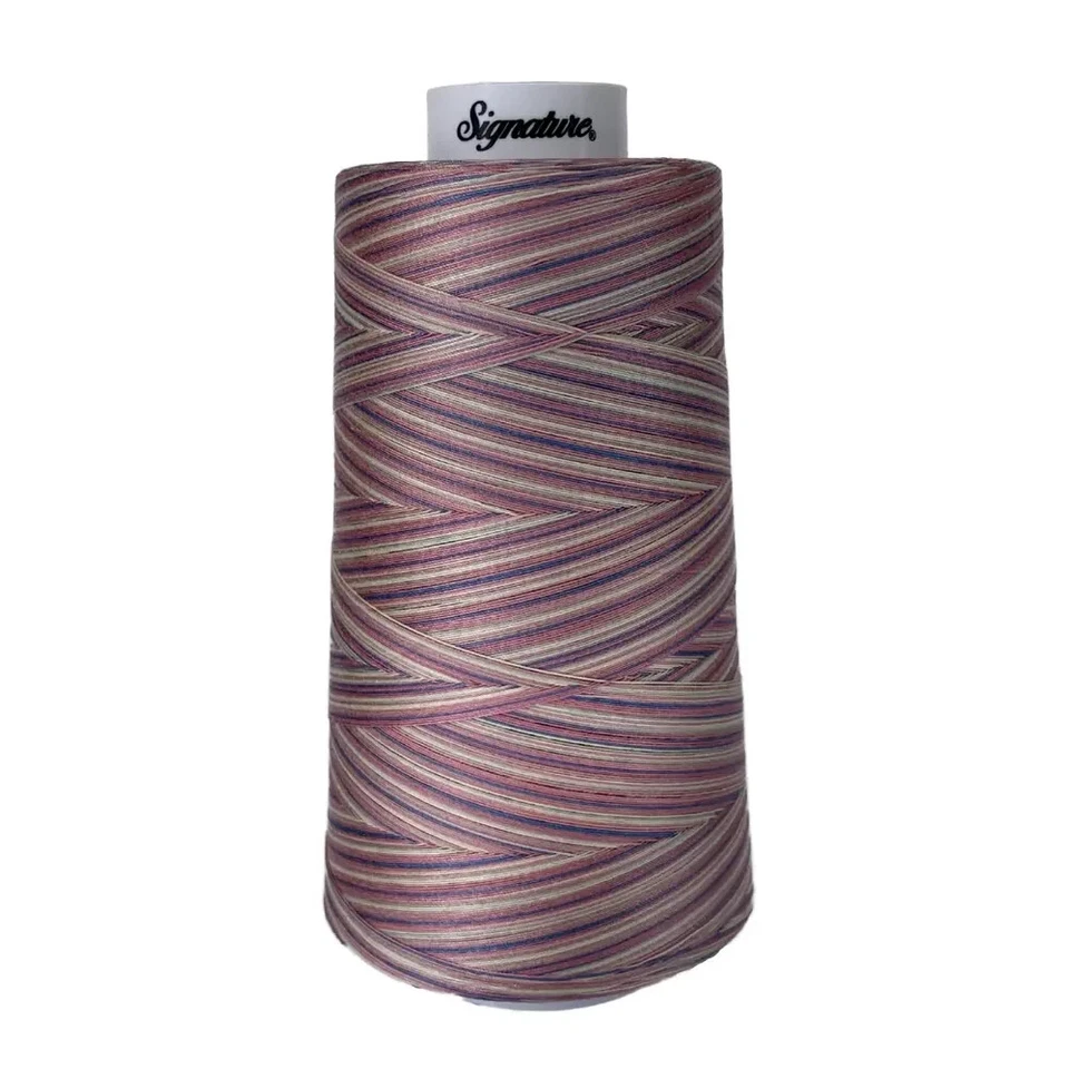 Signature Variegated 40 weight cotton thread 3000 yard cone- Victorian - Image 1 of 1