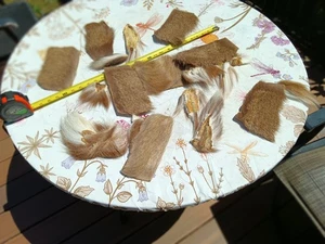 Konvolut Fliegenbinden Hirschhaar und Schwänze - Bild 1 von 2