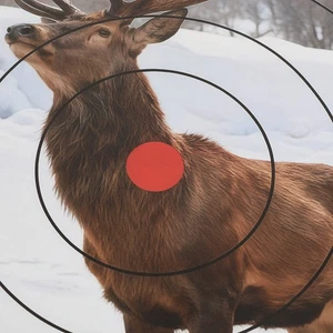 40x40cm Zielpapier Tier Luftgewehr Gewehr Bomber Pistole Bogenschießen Praxis - Picture 1 of 21