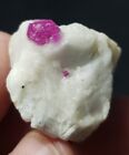 52.50Ct Beautiful Natural Color Ruby With Pyrite Crystal Specimen From Kashmir