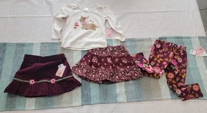 Neu mit Etikett Gymboree Enchanted Forest - 2T 4-teiliges Set Mädchen Posten - Bild 1 von 1