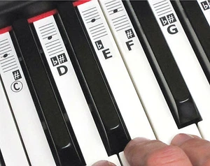 Música Teclado Piano Llave Notas Pegatinas 52 Etiquetas 49-88 + Online Clases - Imagen 1 de 8