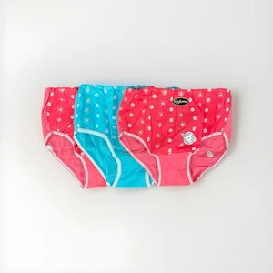 Vintage Cotton Flower Embroidery Blue And Pink Underwear Set Of 3 NWT Read - Picture 1 of 14