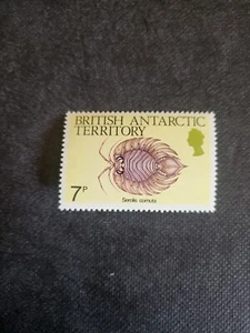 Stamps British Antarctic Territory Scott #108 never hinged - Picture 1 of 1