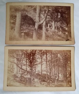 Antique Boudoir Cabinet Card Photo Lot Pine Grove Kennebec River Maine - Picture 1 of 4