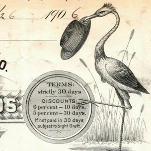 Scarsa carta intestata 1906 Baltimora, MD Townsend Grace merce di paglia - cicogna - Foto 1 di 3