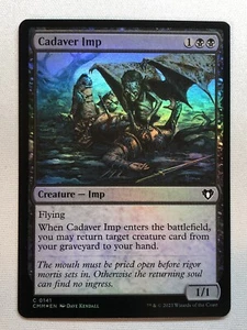 FOIL - MTG - Cadaver Imp 141 - Commander Masters - C - Picture 1 of 1