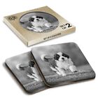 2 x Boxed Square Coasters - BW - Saint Bernard Dog Puppy  #41960
