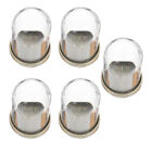 Rustic Brass Base Glass Cloche Set - Perfect for Entertaining Guests