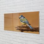 Tulup Glass Print 100x50 Wall Art Picture Bird
