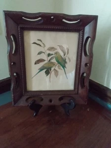 Vintage Mid Century MCM gerahmter Vogel Sittich Druck verziert Holz gerahmt Bauernhaus - Bild 1 von 11