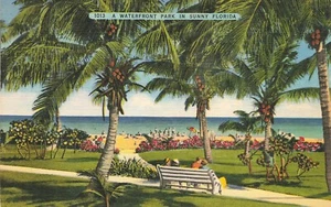 Postal escénica de Nature A Waterfront Park en la soleada Florida - Imagen 1 de 2