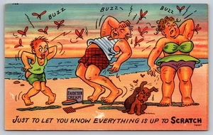Postcard Comic Humor Just To Let You Know Everything Is Up To Scratch Mosquitoes - Picture 1 of 2