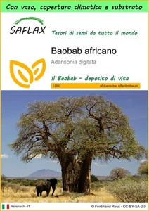SAFLAX - Garden to go - Baobab africano - 6 Semi - Foto 1 di 10