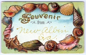1908 RECUERDO de NUEVA POSTAL BRILLANTE BORDE CONCHA MARINA ALBIN IOWA - Imagen 1 de 2
