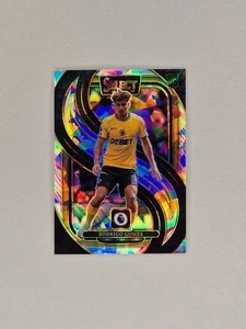 Panini Premier League Select 2024-25 Rodrigo Gomes Ice Prizm - Picture 1 of 2