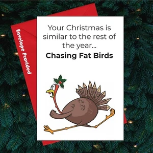 BC317 Persiguiendo Pájaros Grasos Divertida Ruda Tarjeta de Navidad Amiga Hermana Hermano Mamá Papá - Imagen 1 de 3